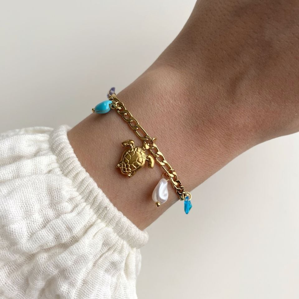 Sea Turtle | Çelik