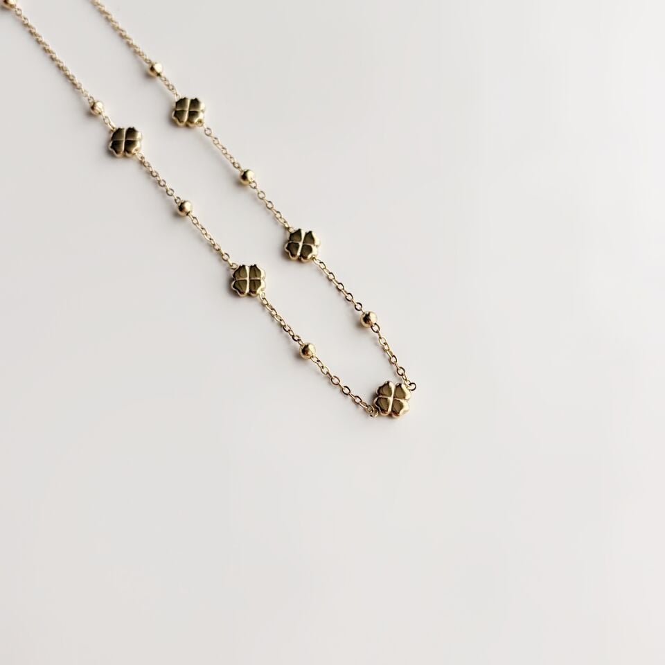 Citrina | Çelik